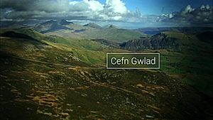 Cefn Gwlad - 2024-25