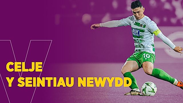 Celje v Y Seintiau Newydd